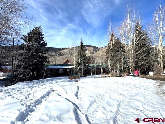 15 South Silver Street Rico, CO 81332 - Photo 7 of 15 a view of outdoor space yard and trees