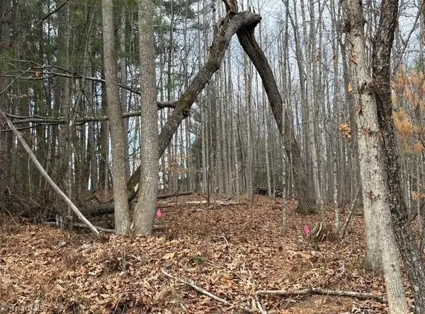 $35,900 | Lot 22 Austin Traphill Road, Traphill, NC 28685