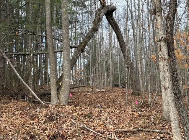 Lot 22 Austin Traphill Road Traphill, NC 28685 - Photo 2 of 3