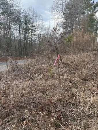 $35,900 | Lot 22 Austin Traphill Road, Traphill, NC 28685