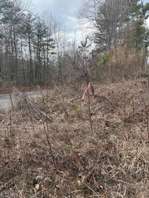 Lot 22 Austin Traphill Road Traphill, NC 28685 - Photo 3 of 3