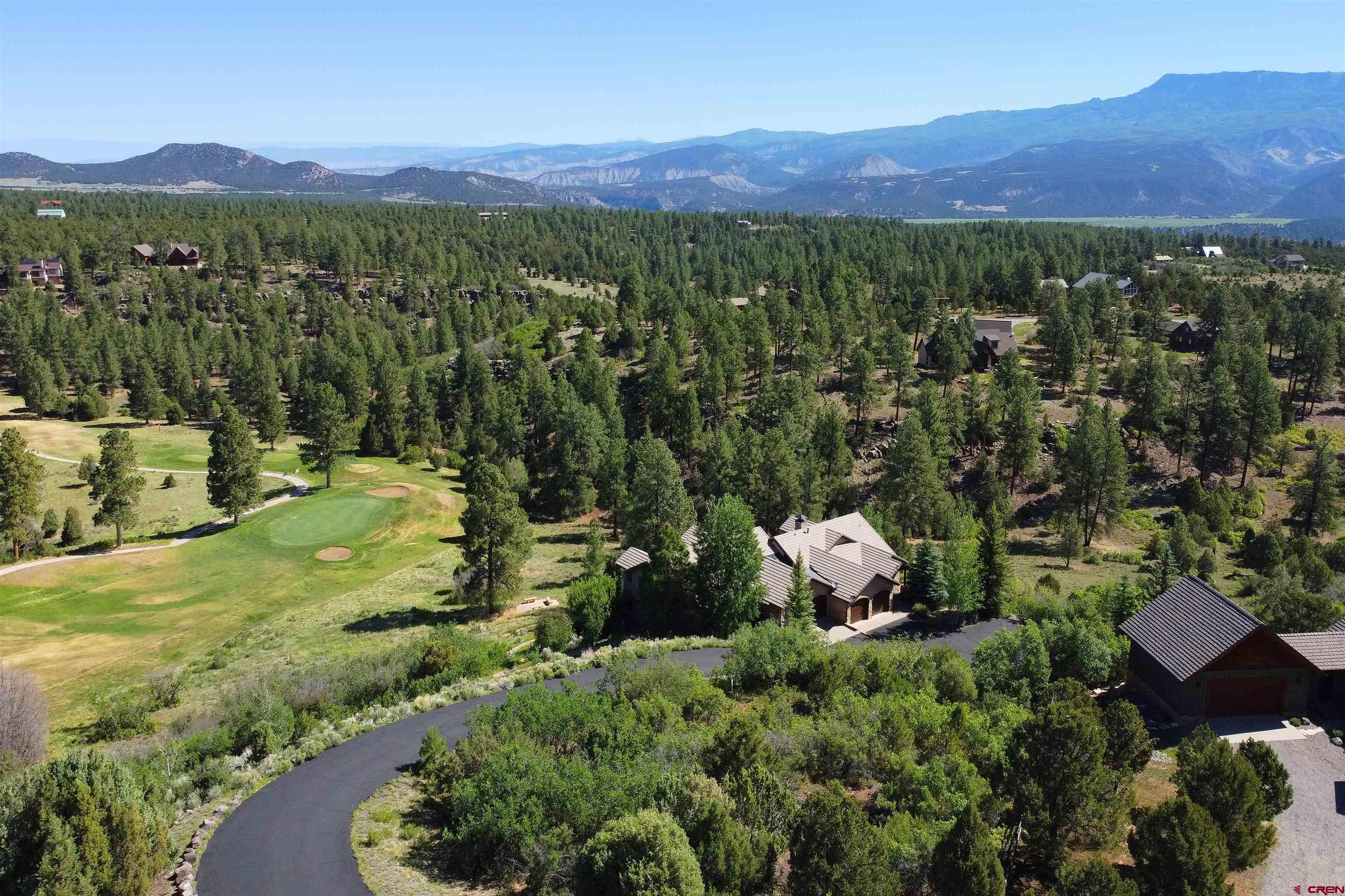 201 Woodchuck Place Ridgway, CO 81432 - Photo 3 of 33 a view of a lush green hillside and houses