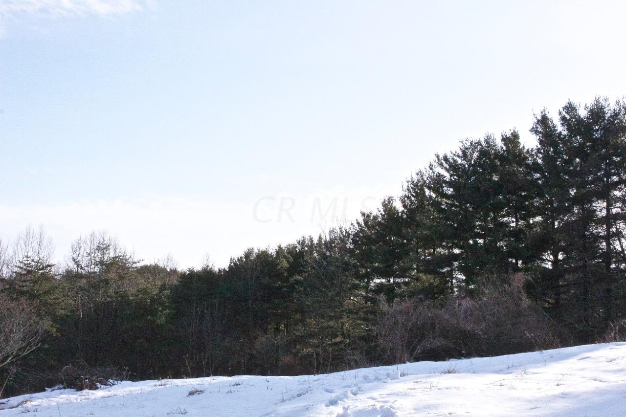 8560 Voris Road Logan, OH 43138 - Photo 4 of 9