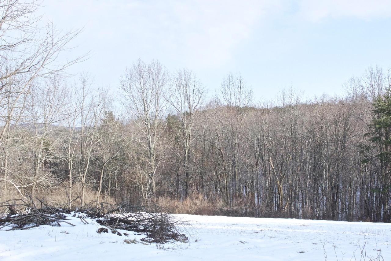 8560 Voris Road Logan, OH 43138 - Photo 5 of 9