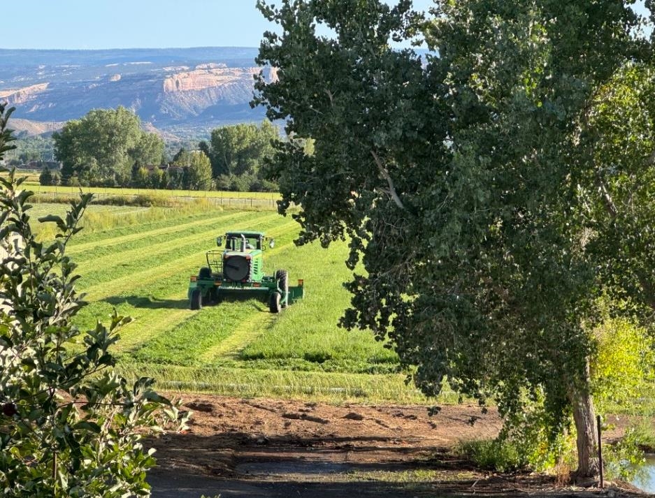 2107 I I- 1/2 Road Grand Junction, CO 81505 - Photo 39 of 42