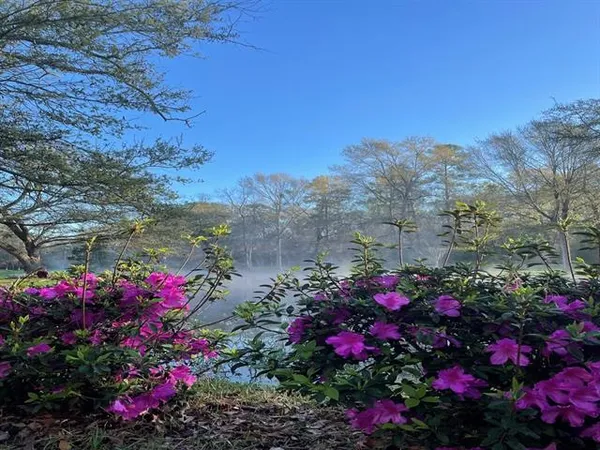 $1,285,000 | 75777 Highway 1082, Covington, LA 70435