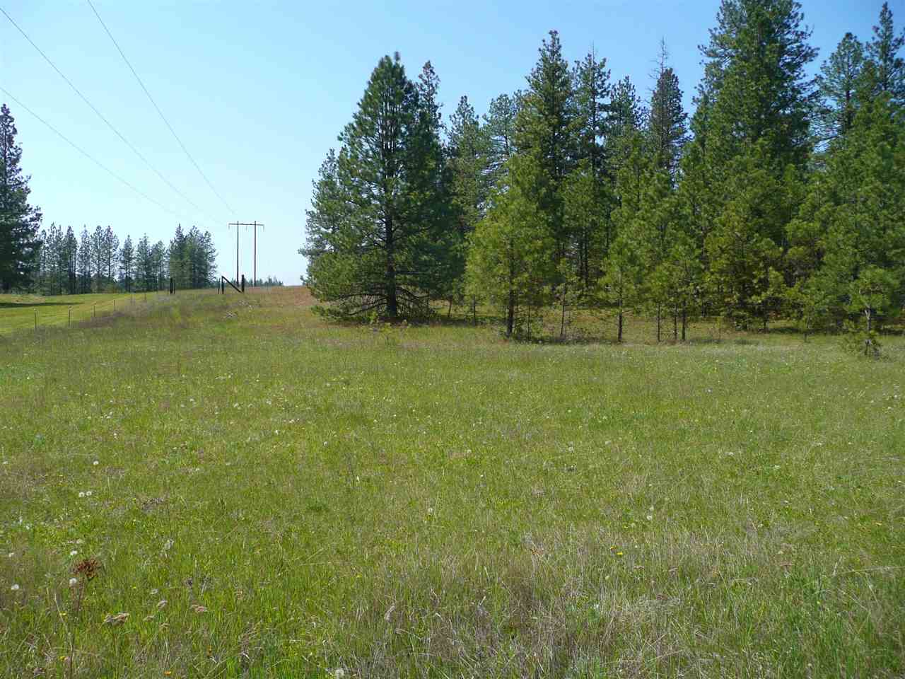 13313 South Goss Road Cheney, WA 99004 - Photo 18 of 20