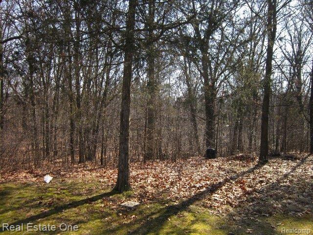 8951 River Valley Road Brighton, MI 48116 - Photo 22 of 25 wooded lot