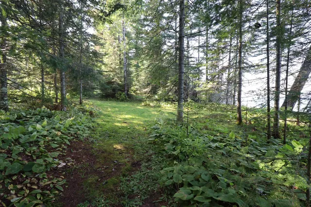 $349,900 | 24-xxx Lupine Lane, Cornucopia, WI 54827