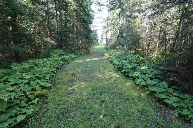 $349,900 | 24-xxx Lupine Lane, Cornucopia, WI 54827