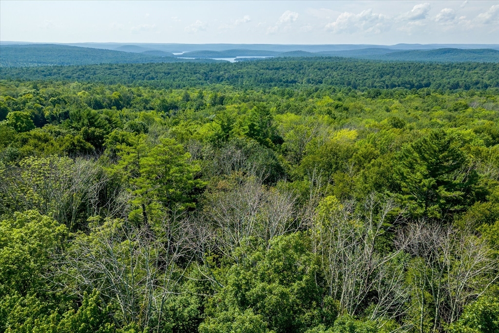 2 E Petersham Road Hardwick, MA 01037 - Photo 7 of 8