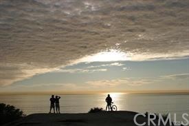 34026 Selva Road, Unit 68 Dana Point, CA 92629 - Photo 14 of 16 a view of lake