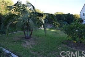 34026 Selva Road, Unit 68 Dana Point, CA 92629 - Photo 9 of 16 a view of a park