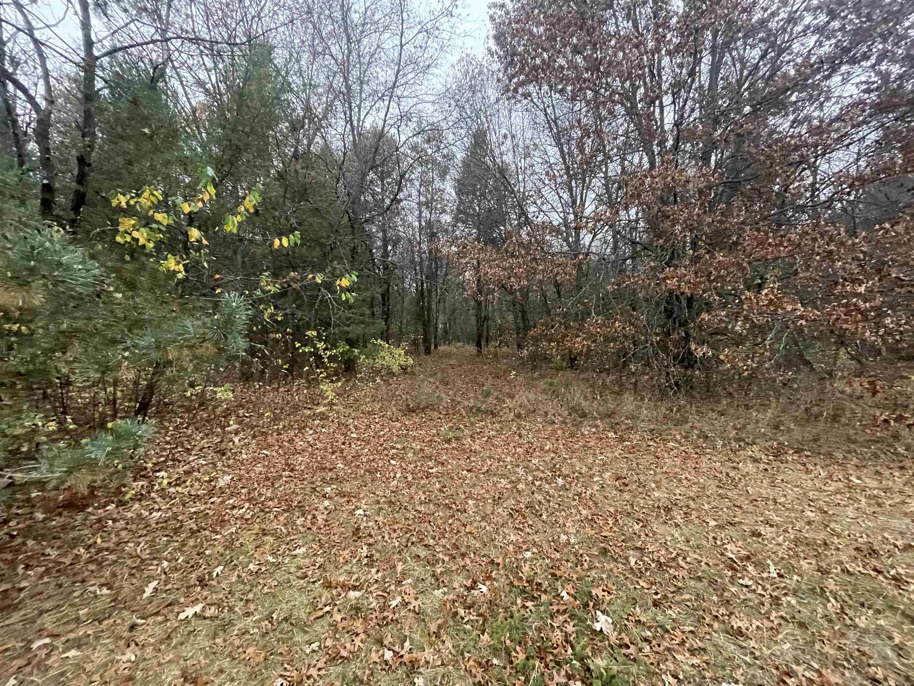 4-5 6 Harding Road Plainfield, WI 54966 - Photo 1 of 1