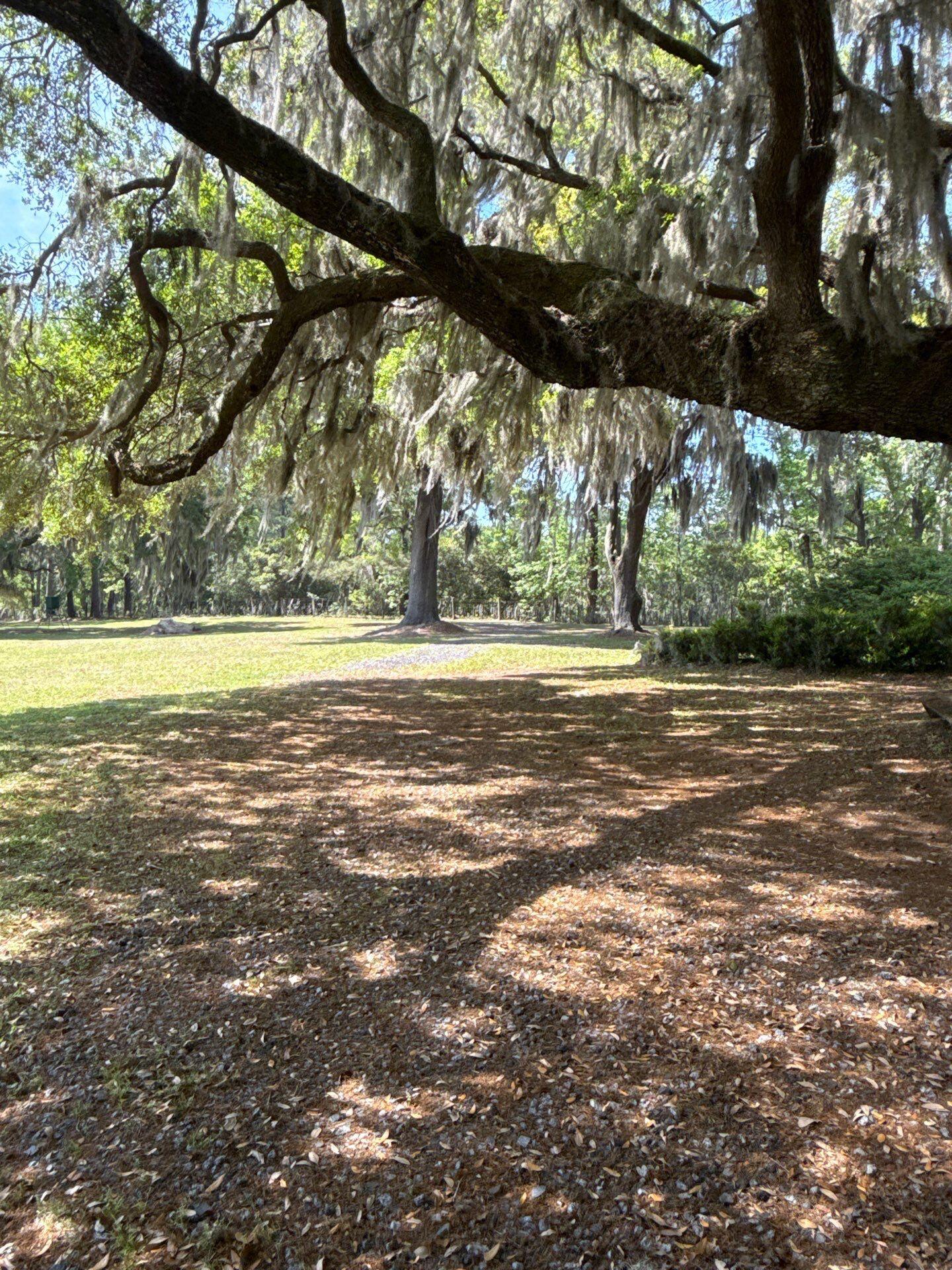 4347 Chisolm Road Johns Island, SC 29455 - Photo 12 of 24 019be130-dbf2-7ccd-80fb-eea346f31d7c