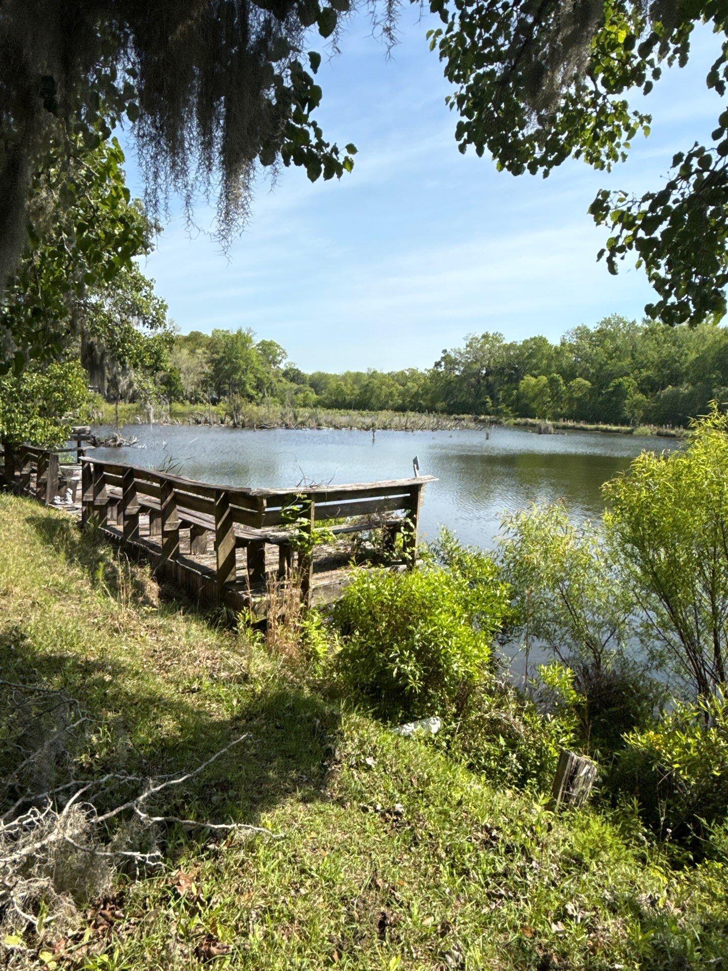 4347 Chisolm Road Johns Island, SC 29455 - Photo 22 of 24 down-net_http20260122-277-c82ot6