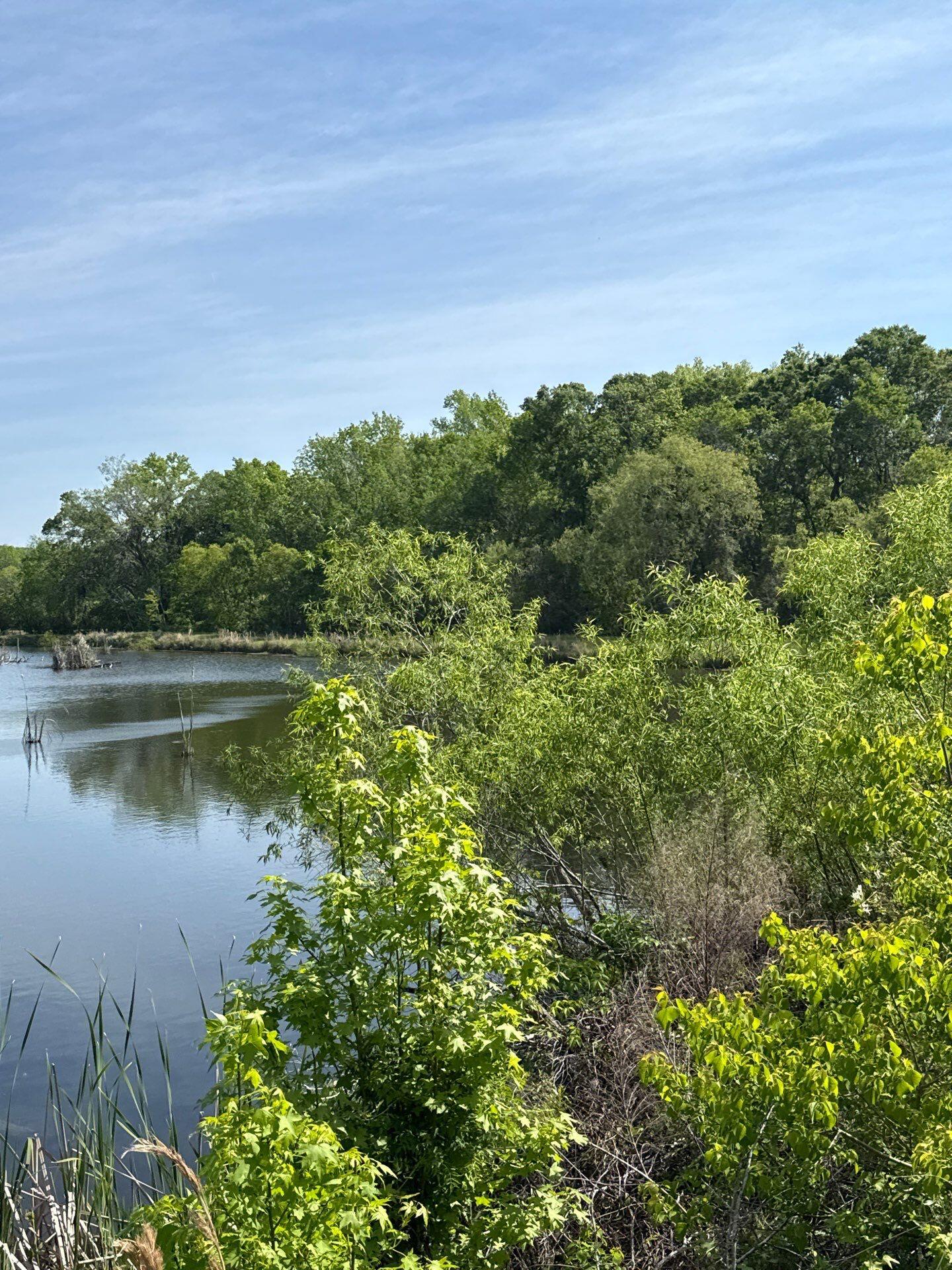 4347 Chisolm Road Johns Island, SC 29455 - Photo 23 of 24 down-net_http20260122-203-9pazn6