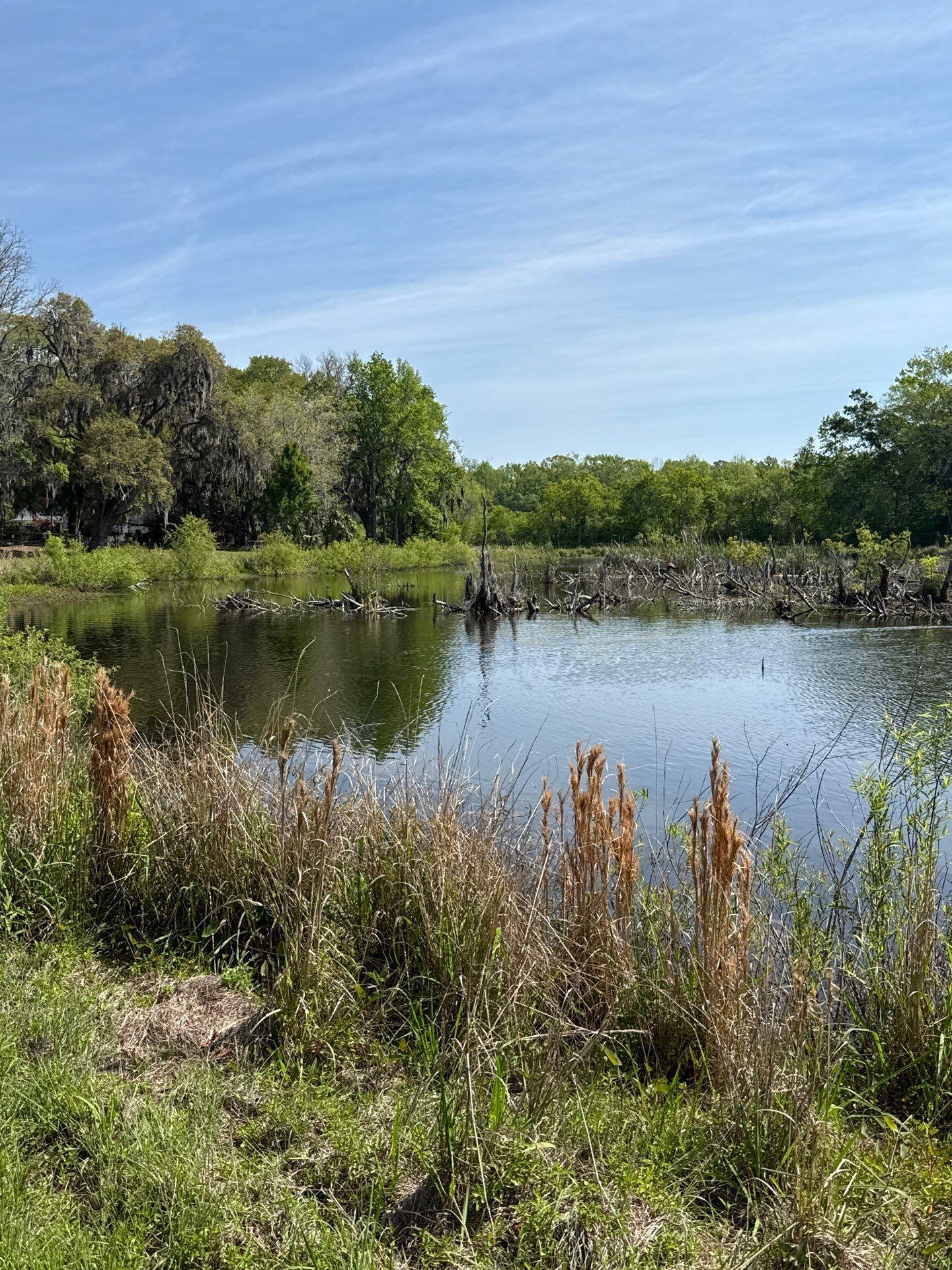 4347 Chisolm Road Johns Island, SC 29455 - Photo 24 of 24 down-net_http20260122-247-doqdut