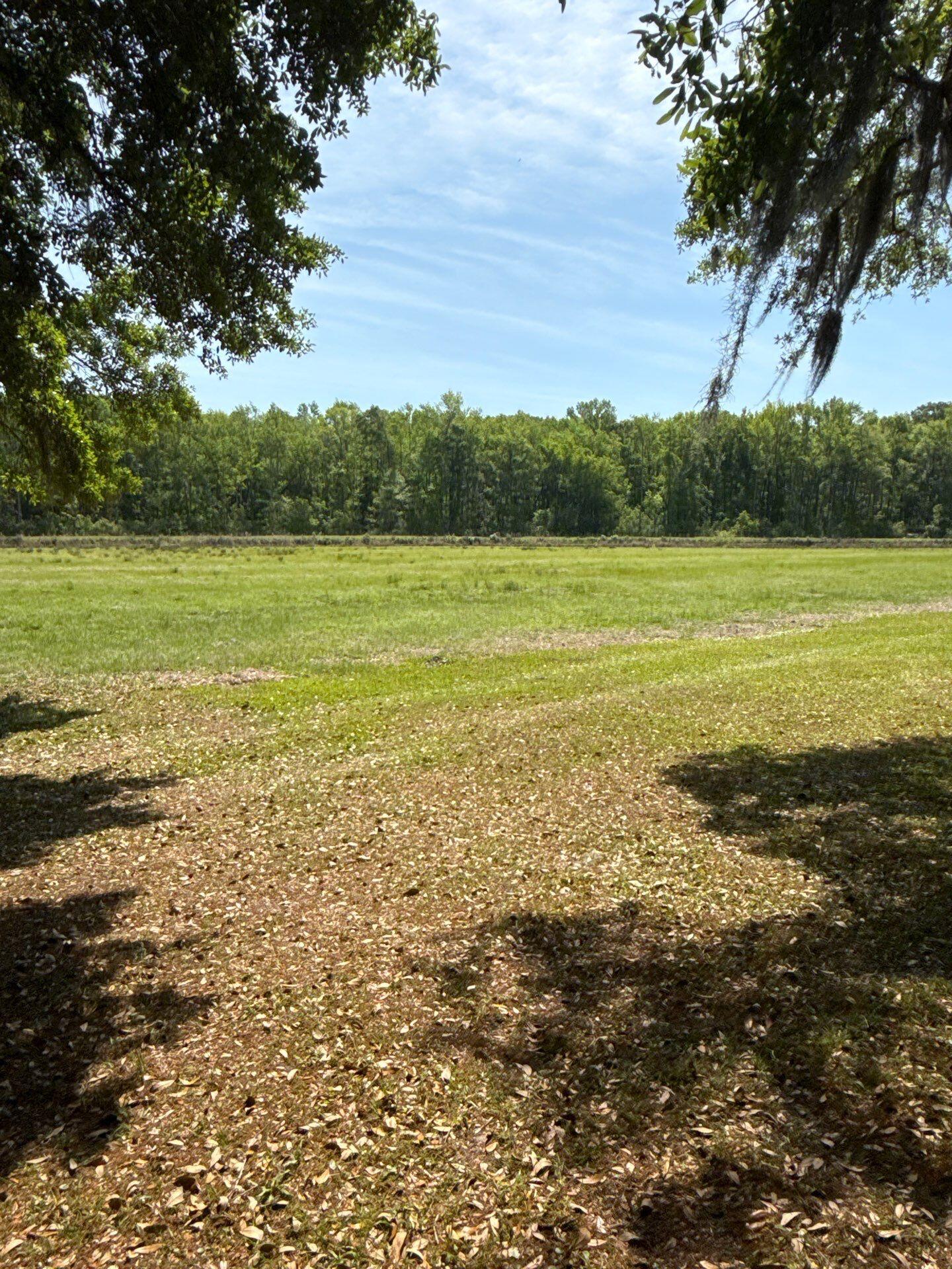 4347 Chisolm Road Johns Island, SC 29455 - Photo 9 of 24 019be130-a7fc-7ccd-80fb-d94b75fb7c98