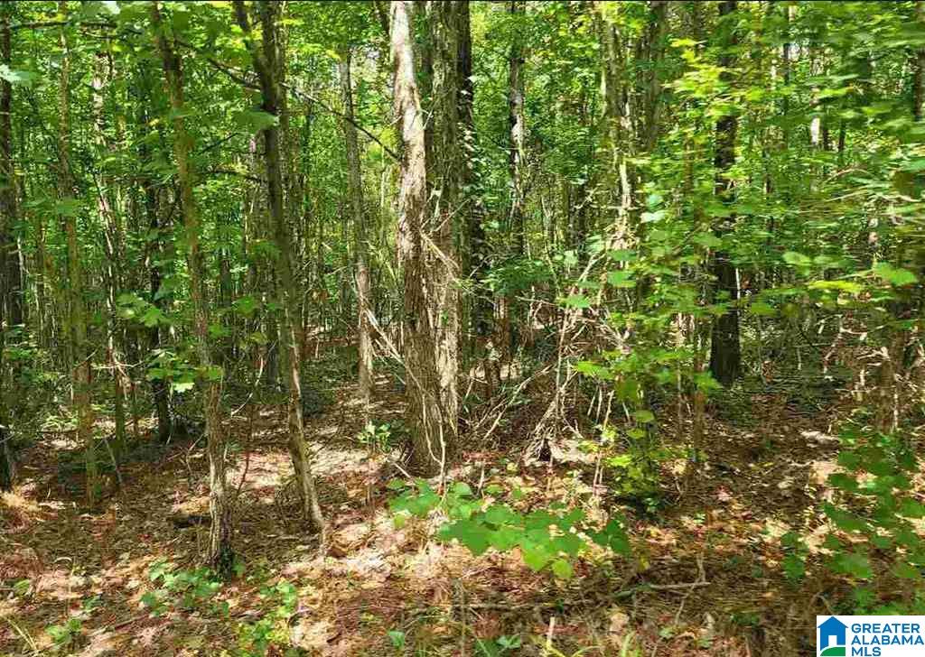 116 County Road 116, Unit 15 Heflin, AL 36264 - Photo 2 of 2