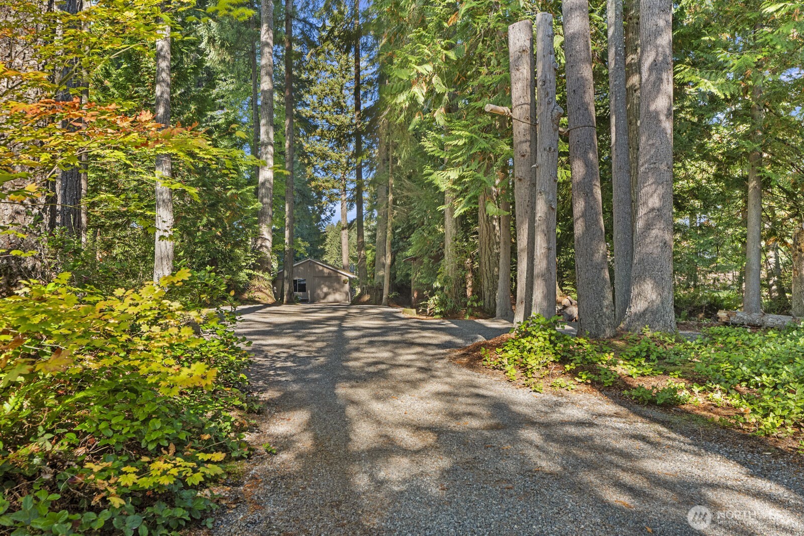 7727 Lake Alice Road Southeast Fall City, WA 98024 - Photo 18 of 34 a view of a yard with plants and trees