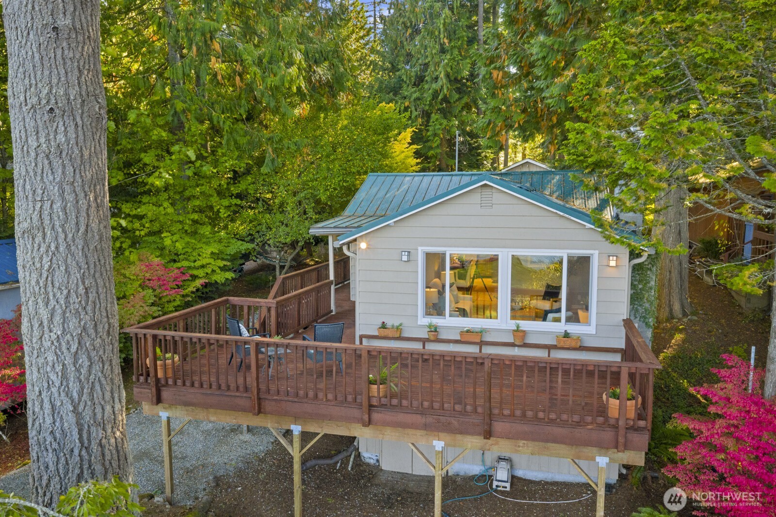 7727 Lake Alice Road Southeast Fall City, WA 98024 - Photo 24 of 34 a view of house with a big yard and potted plants