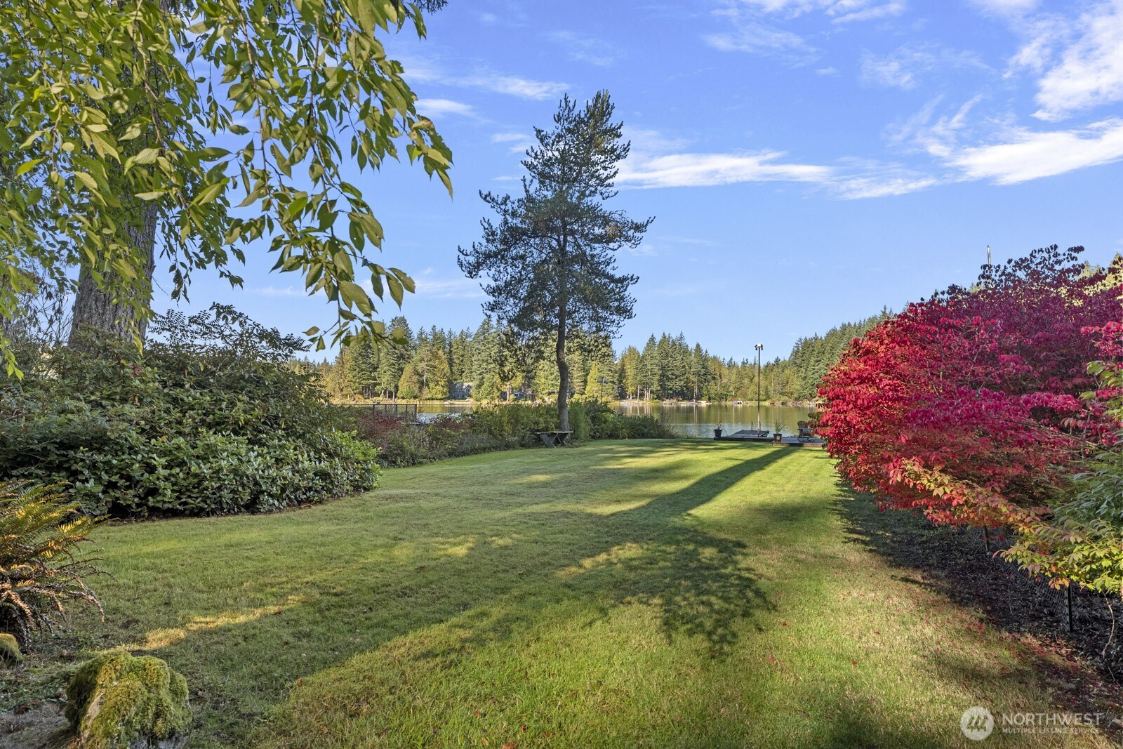 7727 Lake Alice Road Southeast Fall City, WA 98024 - Photo 27 of 34 a view of a field with a tree