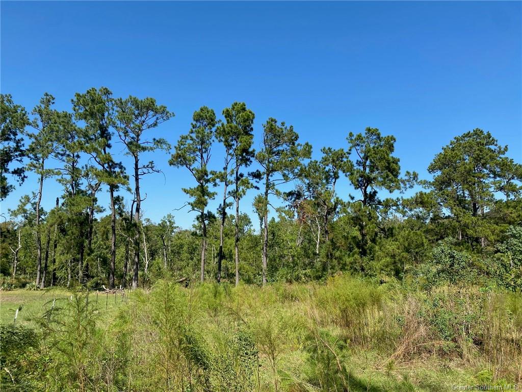 0 Bankens Road Sulphur, LA 70663 - Photo 1 of 6 Gallery Image 1