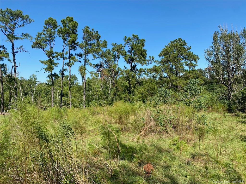0 Bankens Road Sulphur, LA 70663 - Photo 2 of 6 Gallery Image 2