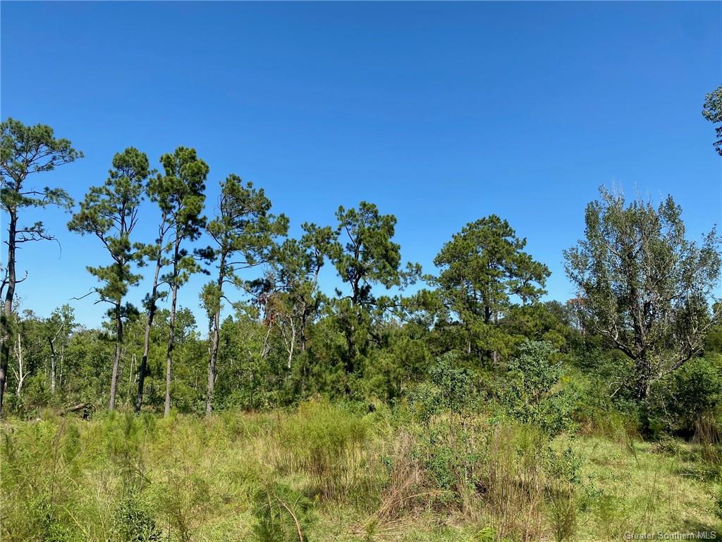 0 Bankens Road Sulphur, LA 70663 - Photo 5 of 6 Gallery Image 5