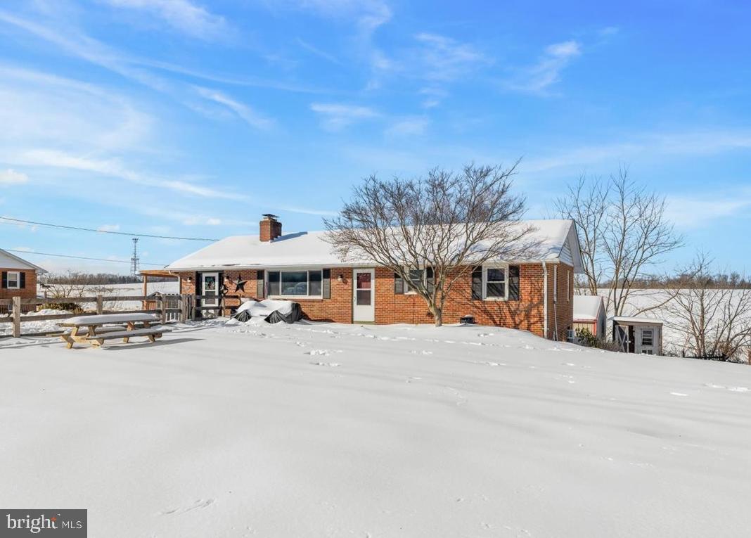 a large building with a large tree in front of it