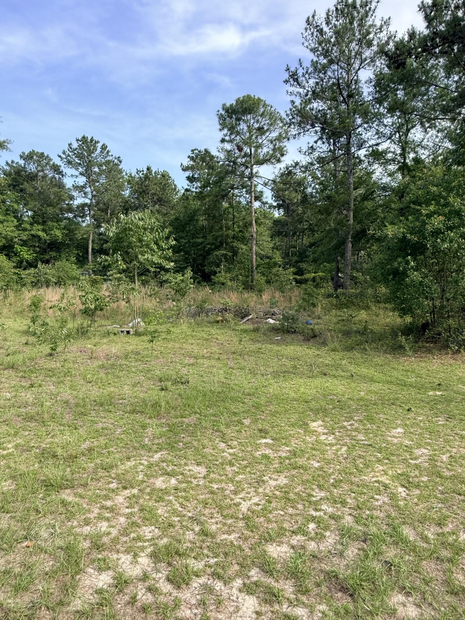 125 Jacob McKie Road, Unit 125 Trenton, SC 29847 - Photo 10 of 22