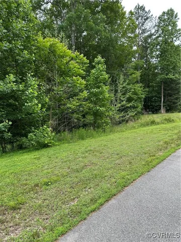 a view of a grassy field with trees