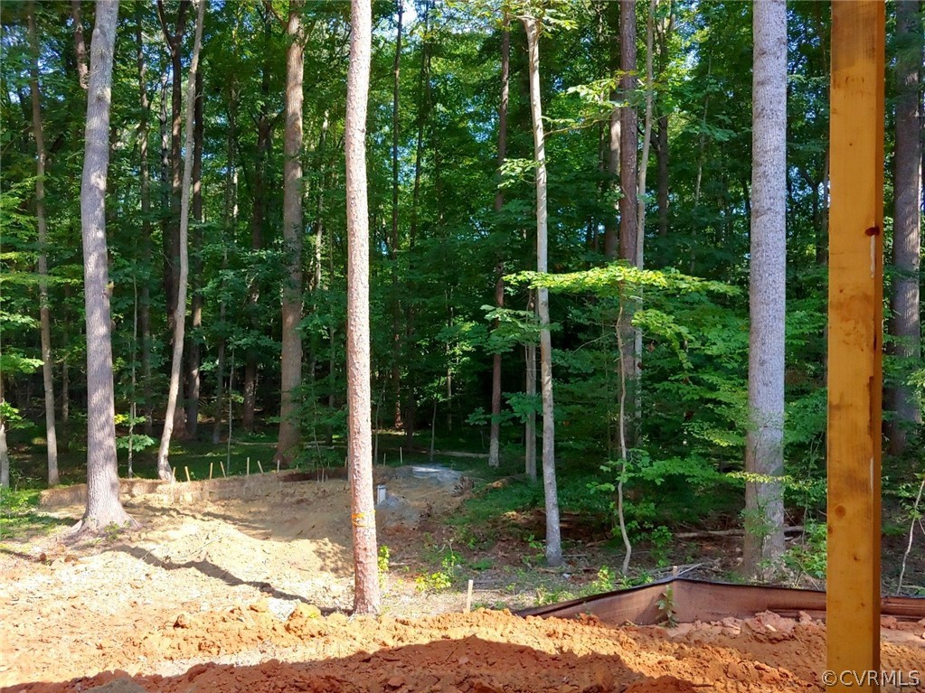 2780 Academy Road Powhatan, VA 23139 - Photo 3 of 27 View from the front porch.