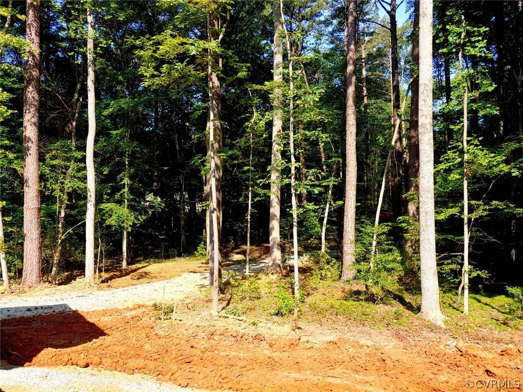 2780 Academy Road Powhatan, VA 23139 - Photo 4 of 27 View of the Driveway. Today is the day grading is expected to be complete, which will give easy access for showings.