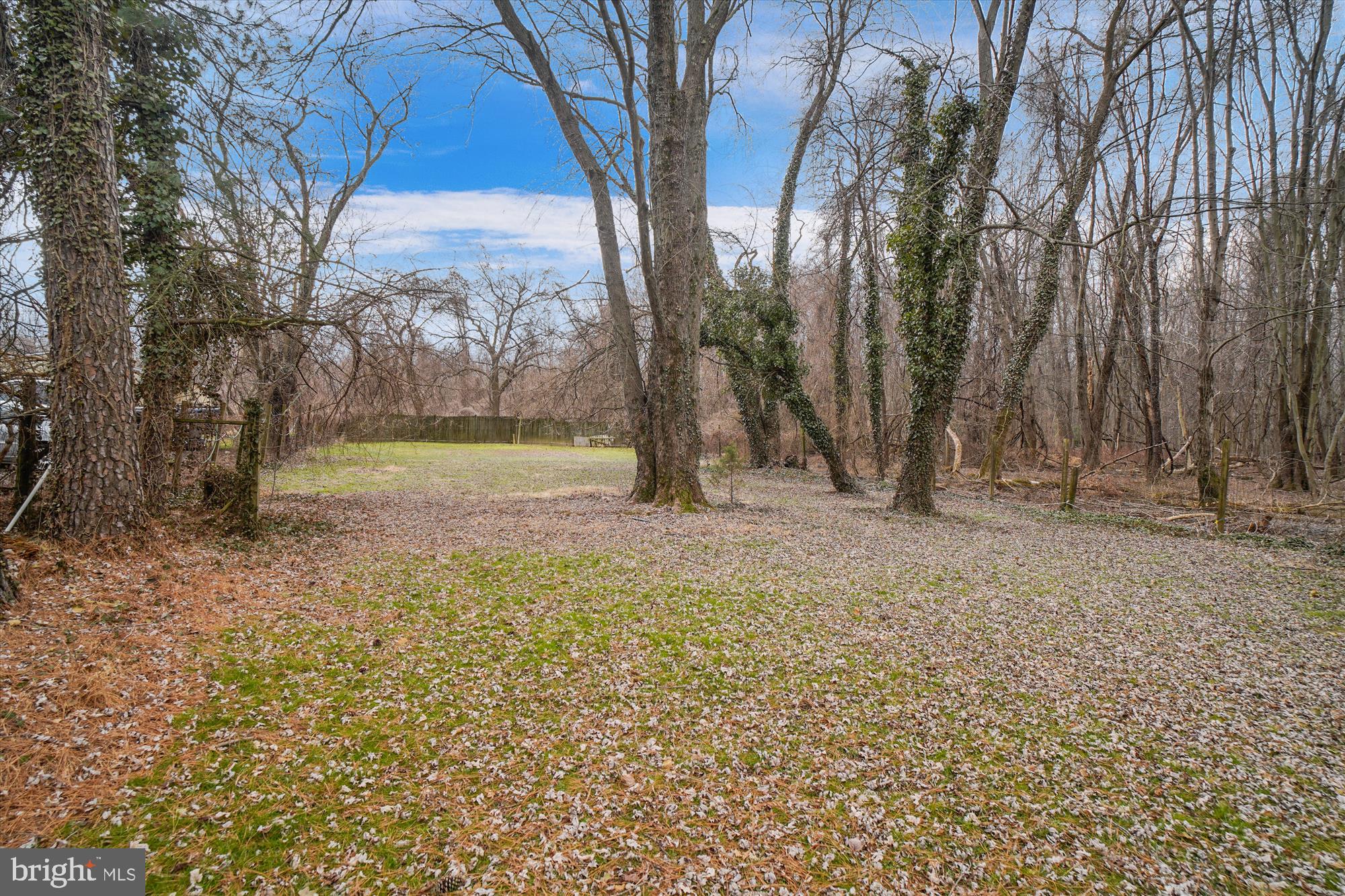 799 Briggs Chaney Road Silver Spring, MD 20905 - Photo 55 of 56 Exterior Rear