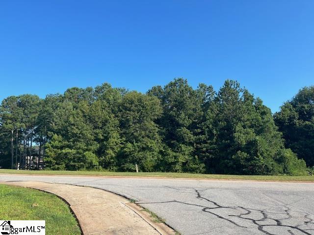 139 Rivendell Drive Anderson, SC 29621 - Photo 3 of 9