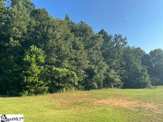 139 Rivendell Drive Anderson, SC 29621 - Photo 7 of 9