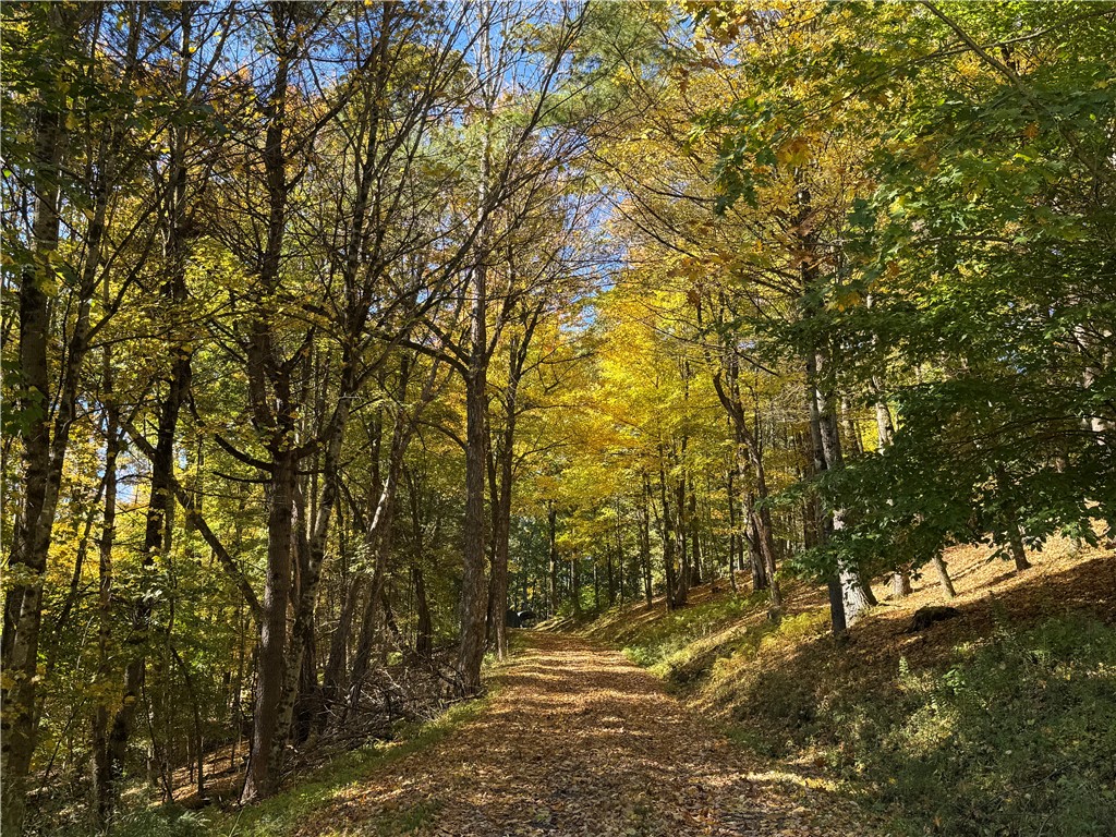 335-339 Arnold Lake Road Hartwick, NY 13807 - Photo 7 of 35 Gallery Image 7