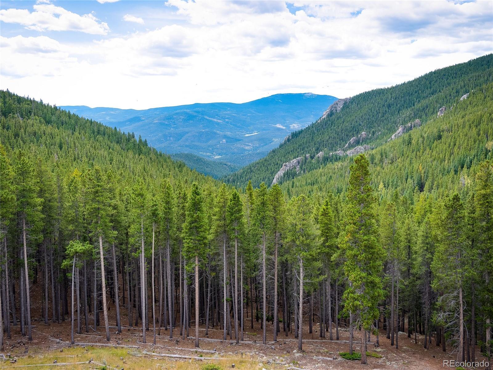 76 Raven Rdg Road Idaho Springs, CO 80452 - Photo 37 of 49 a view of a large with large trees