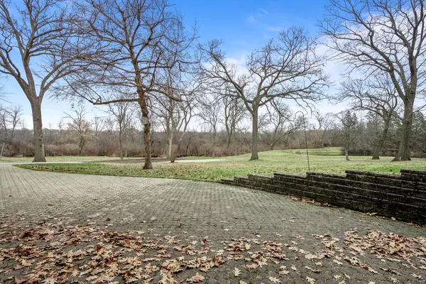 a view of a park that has large trees