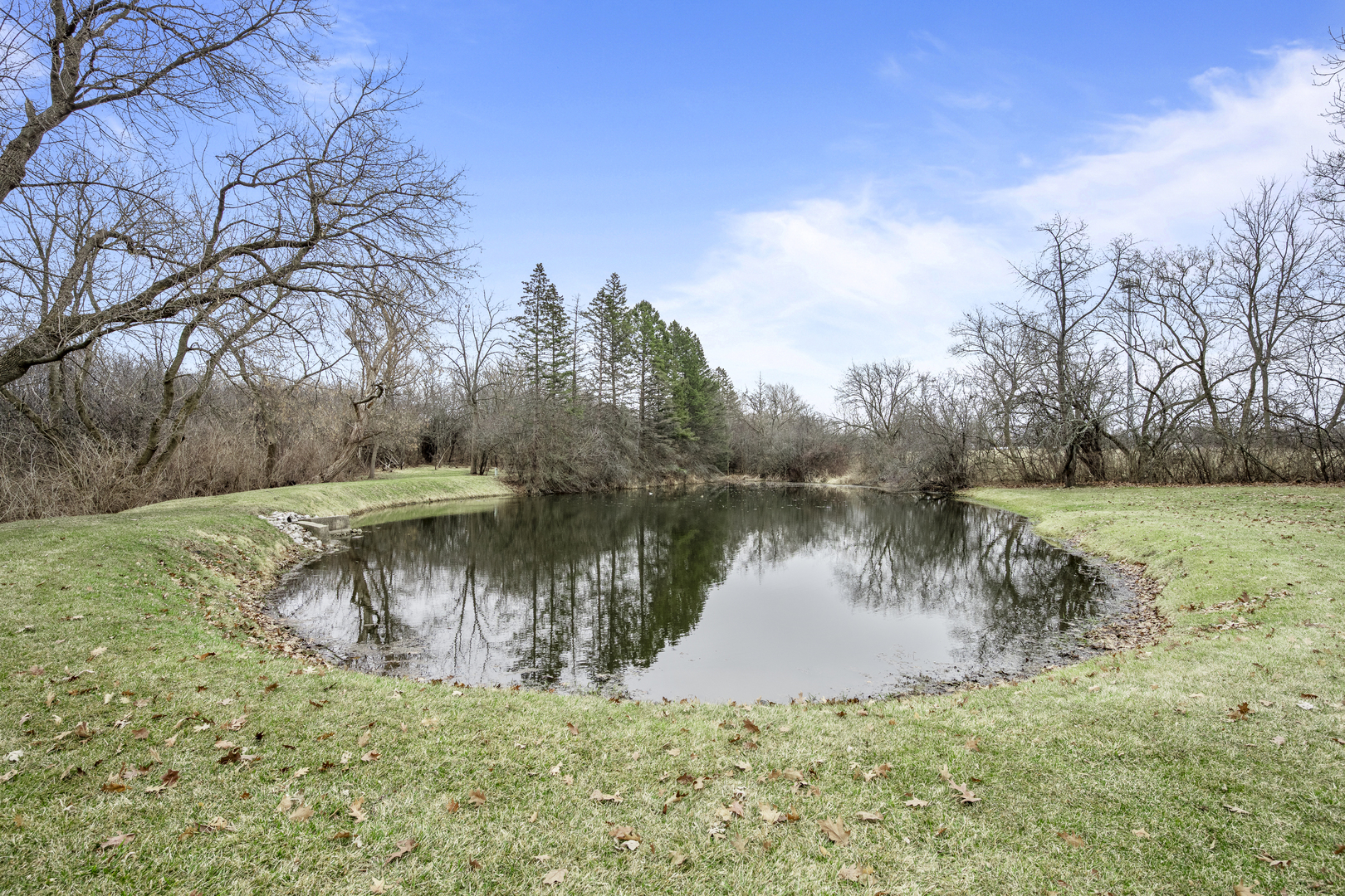 32981 North River Road Libertyville, IL 60048 - Photo 6 of 44 a view of a lake with a yard and large trees