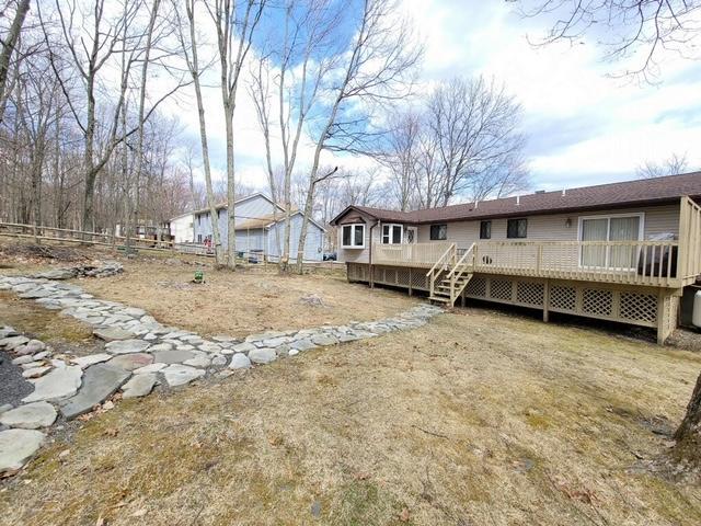 169 Murphy Circle Bushkill, PA 18324 - Photo 3 of 35 a view of backyard with large trees