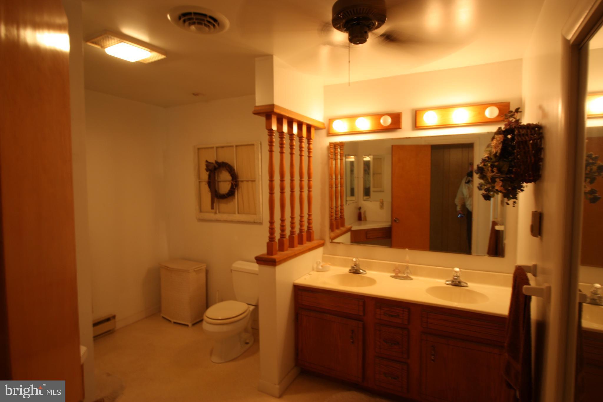 3006 Mann Road Hancock, MD 21750 - Photo 13 of 29 Large Bath on Upper Level
