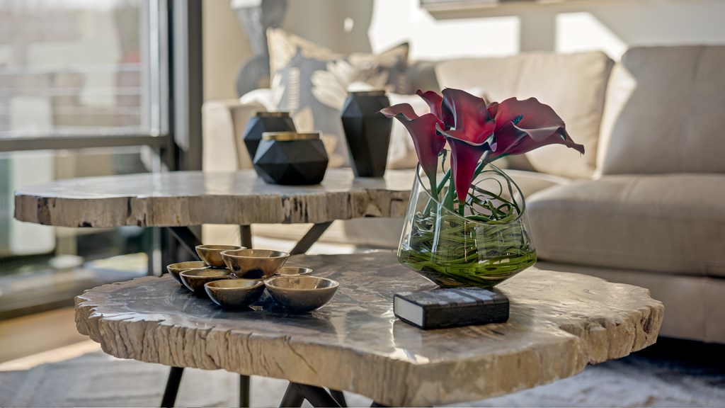 1281 # 1 E Main Street Blue Ridge, GA 30513 - Photo 42 of 60