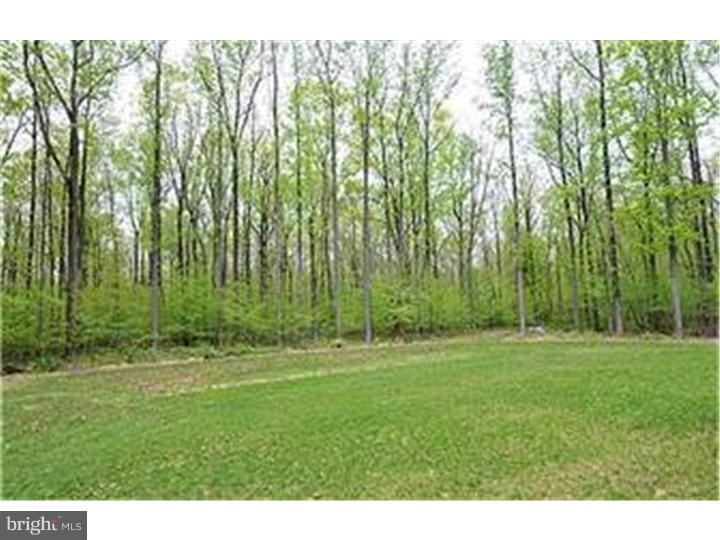 3401 Winding Road Kintnersville, PA 18930 - Photo 17 of 17 Gallery Image 17