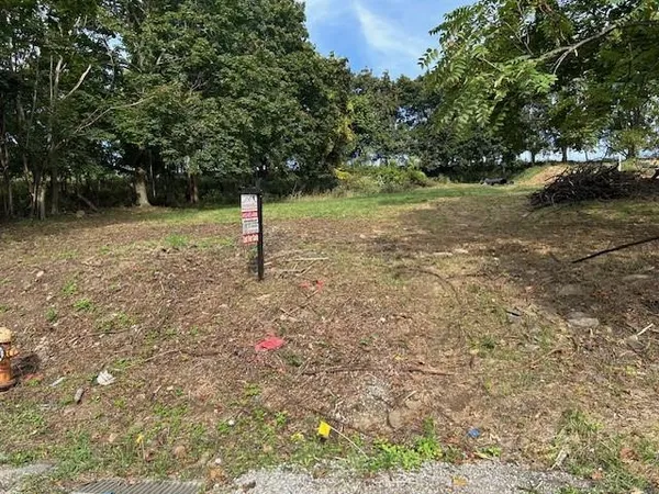 a flag is sitting in the middle of a yard