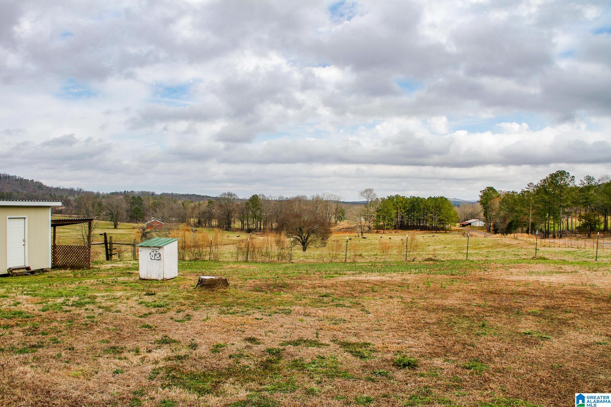 2356 County Road 81 Delta, AL 36258 - Photo 27 of 27
