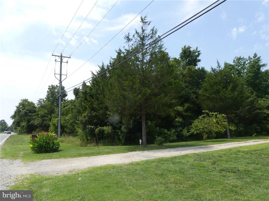 99999 New Road Lewes, DE 19958 - Photo 6 of 9 Gallery Image 6