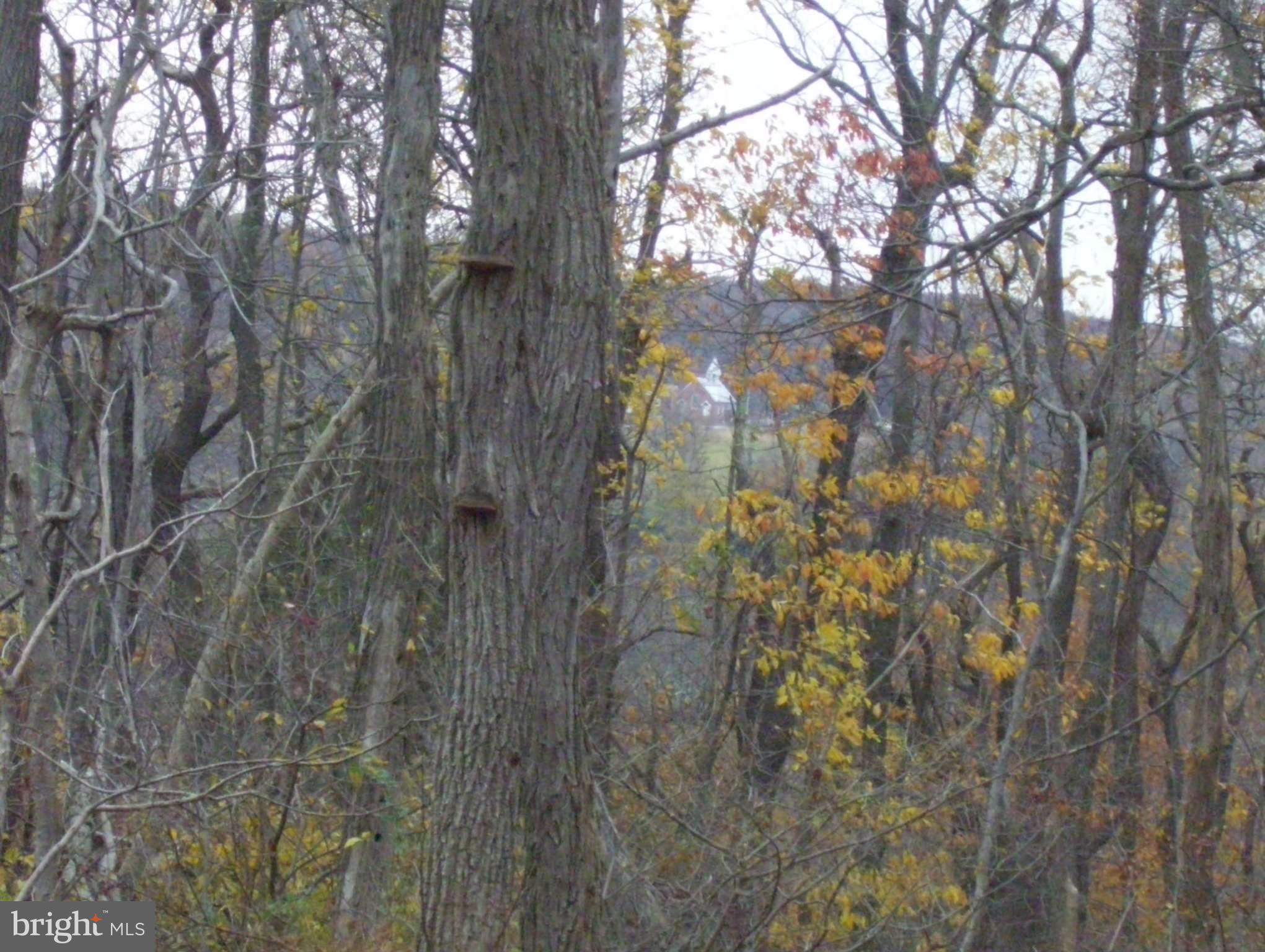 4643 John Draper Road Smithsburg, MD 21783 - Photo 14 of 30 View